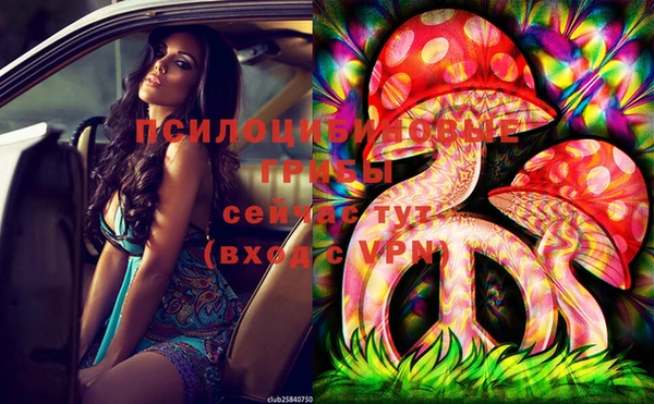 apvp Сафоново