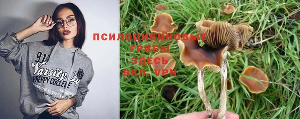 кристаллы Сатка