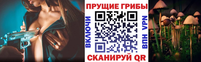где можно купить наркотик  Ликино-Дулёво  Галлюциногенные грибы мицелий 