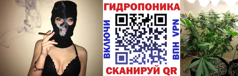 Каннабис Amnesia Ликино-Дулёво